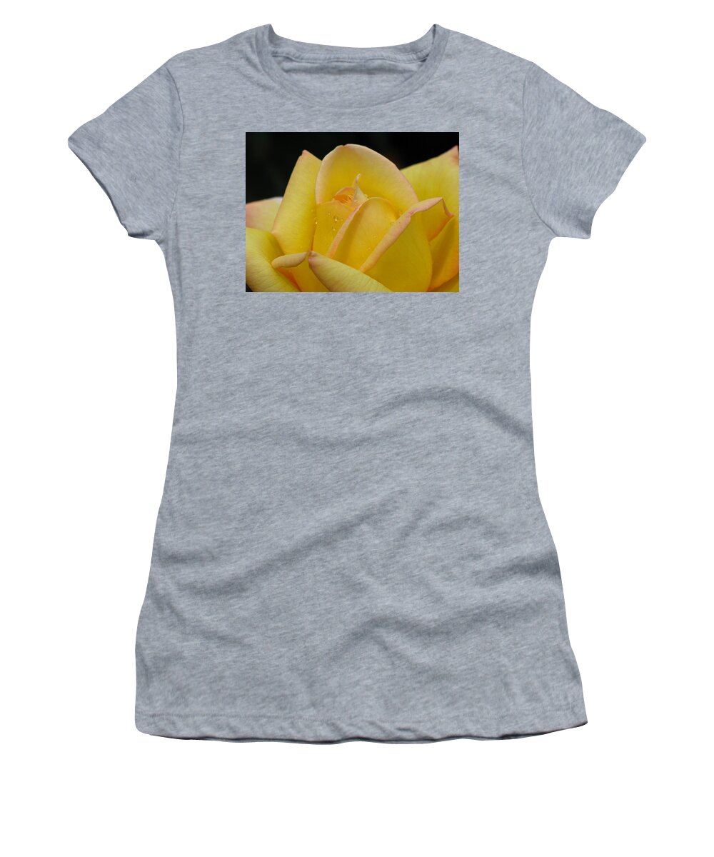 Rose Women's T-Shirt featuring the photograph Morning Kiss by Juergen Roth