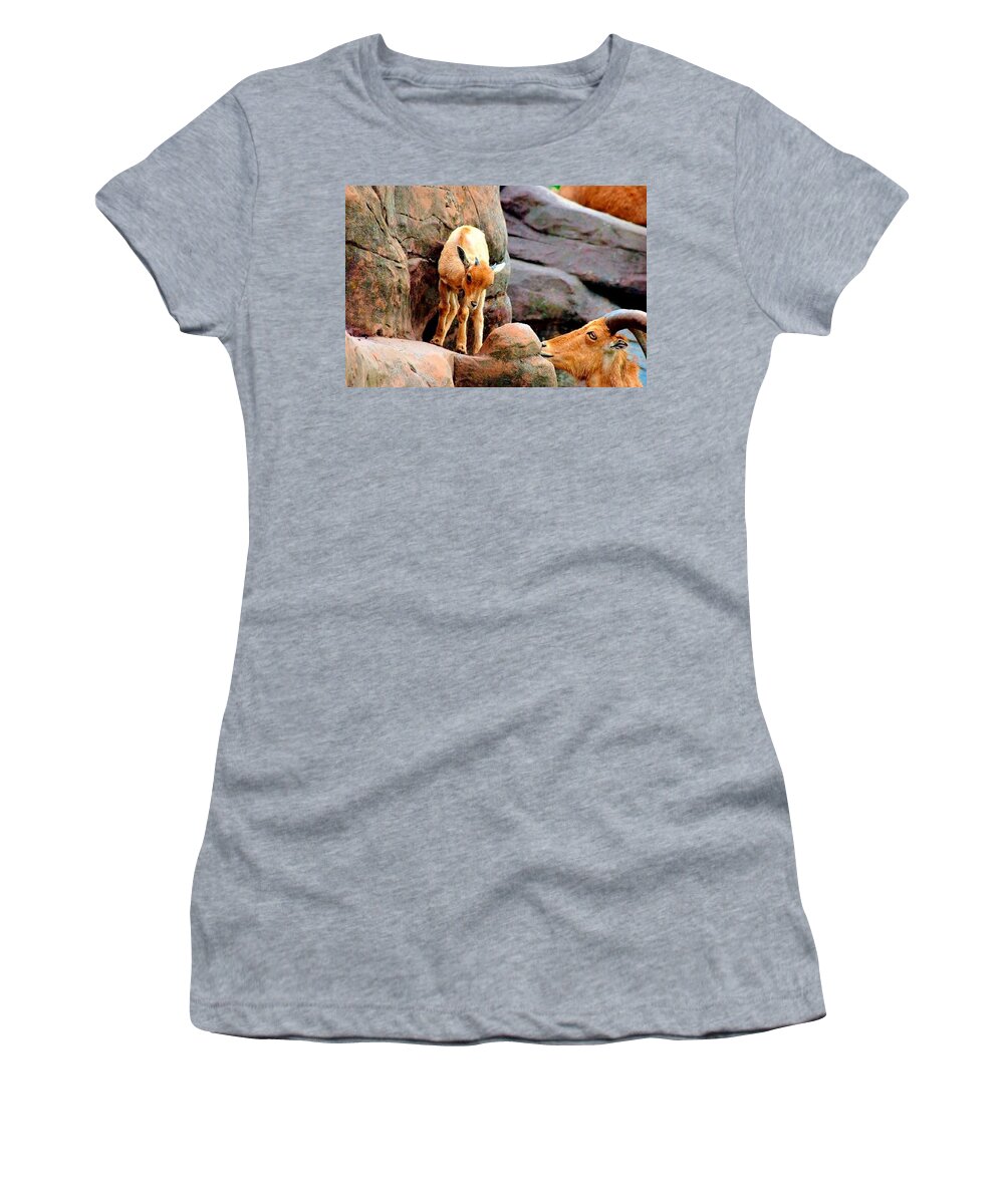 Goat Women's T-Shirt featuring the photograph Mountain Goats at Woolaroc Oklahoma by Janette Boyd