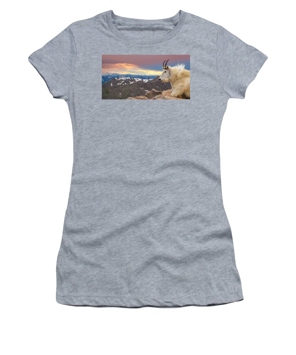 Goat Women's T-Shirt featuring the photograph Mountain King by Kevin Dietrich