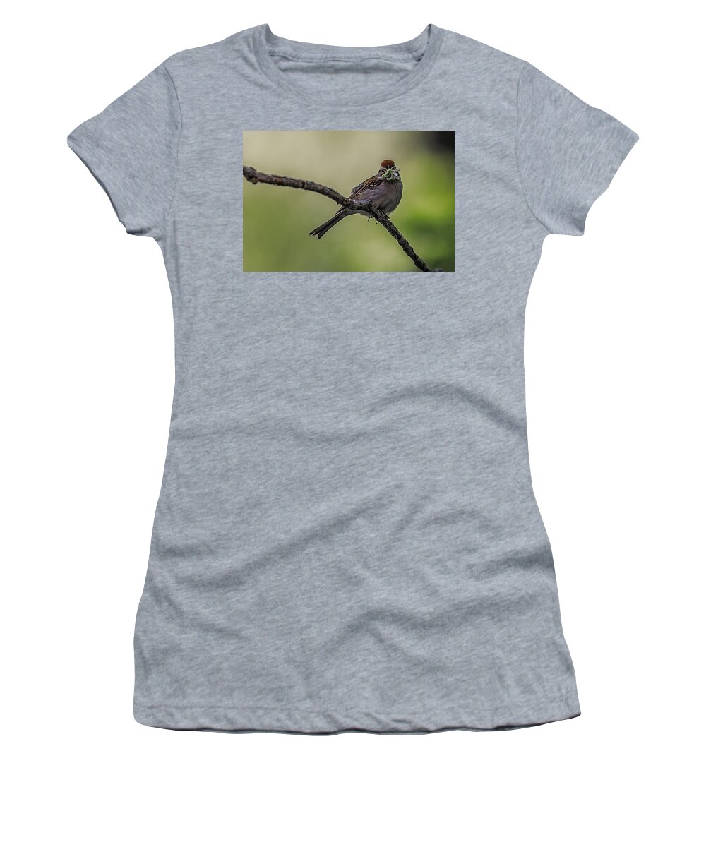 Sparrow Women's T-Shirt featuring the photograph Mouth Full by Paul Freidlund
