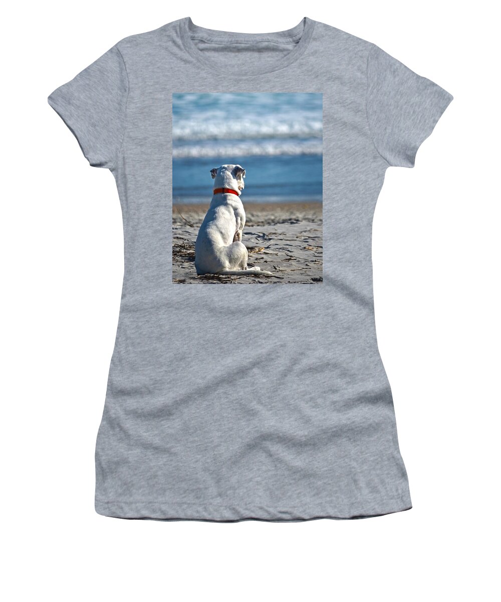 Dog Women's T-Shirt featuring the photograph My First Gift by Sandi OReilly