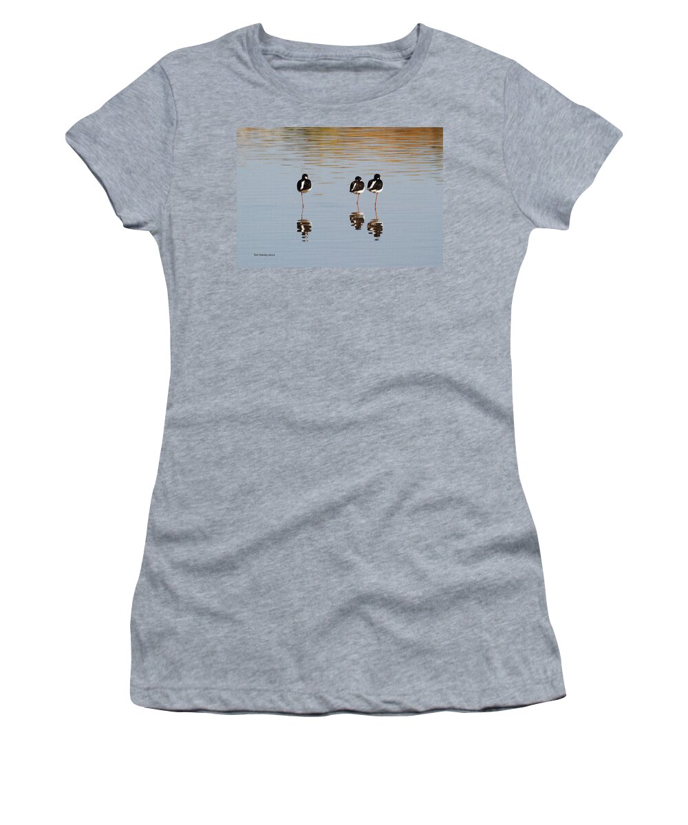 Nap Time Women's T-Shirt featuring the photograph Nap Time by Tom Janca