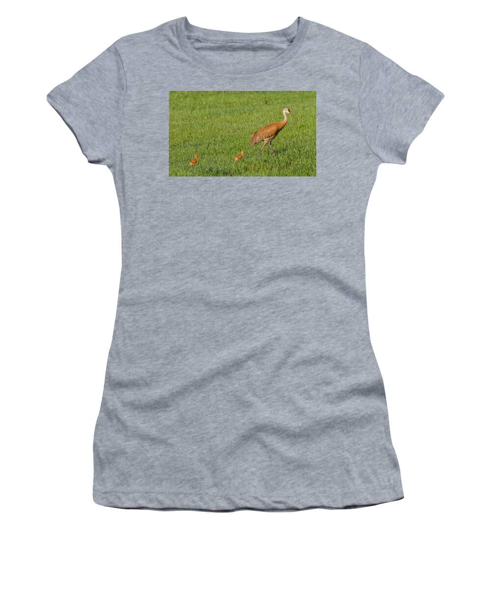 Bird Women's T-Shirt featuring the photograph New Mother by Kevin Dietrich