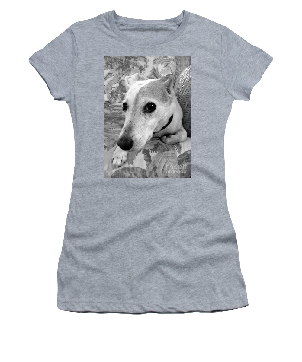 Dog Women's T-Shirt featuring the photograph No Closeups Please by Barbie Corbett-Newmin