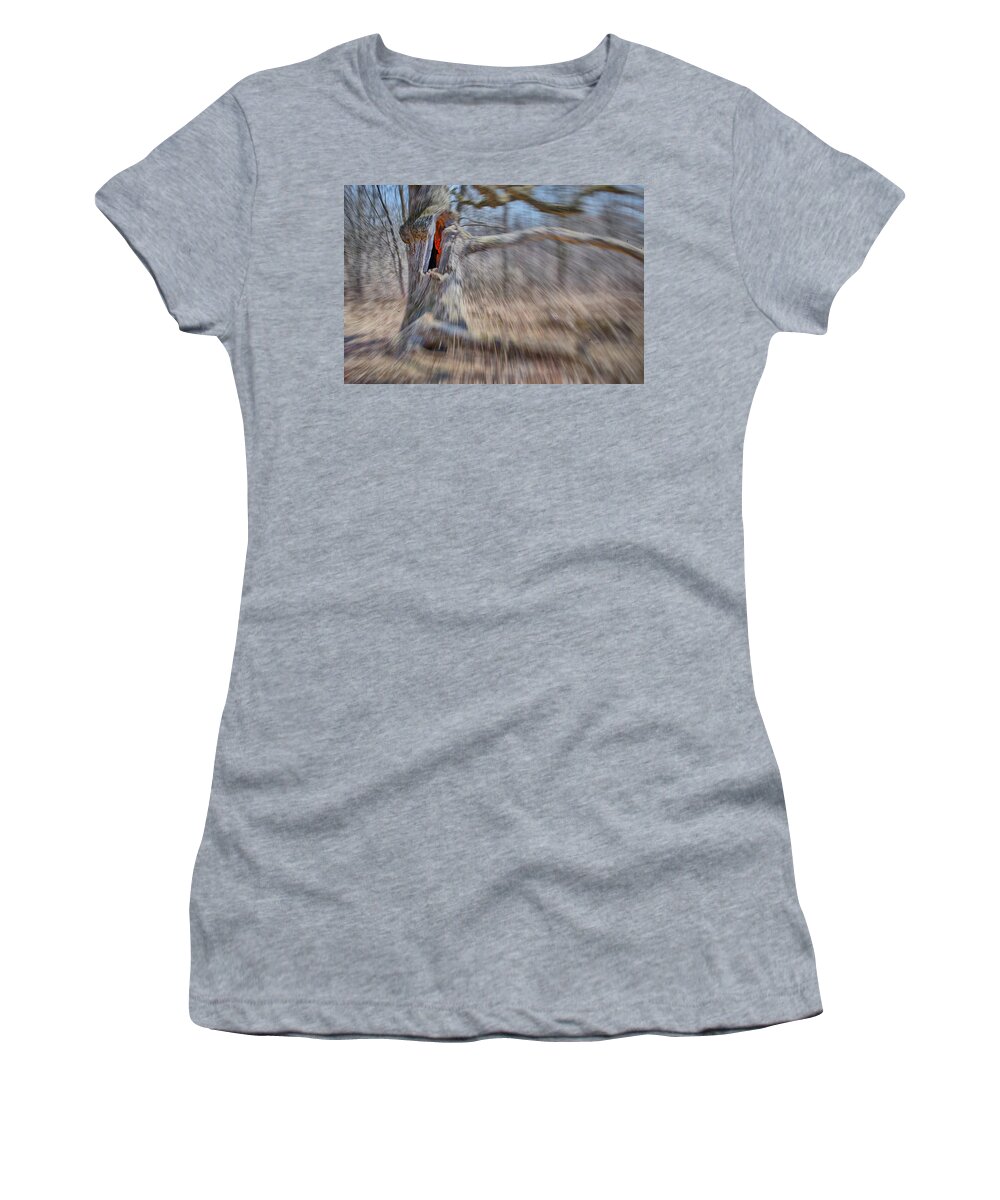 Grant Woods Women's T-Shirt featuring the photograph No Escape by Jim Shackett