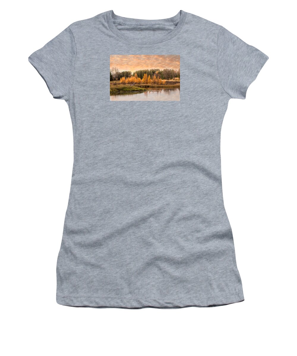 Deer Women's T-Shirt featuring the photograph Tamarack Buck by Patti Deters