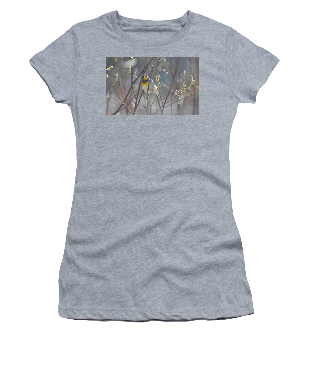 Northern Parula Women's T-Shirt featuring the photograph Northern Parula by James Petersen
