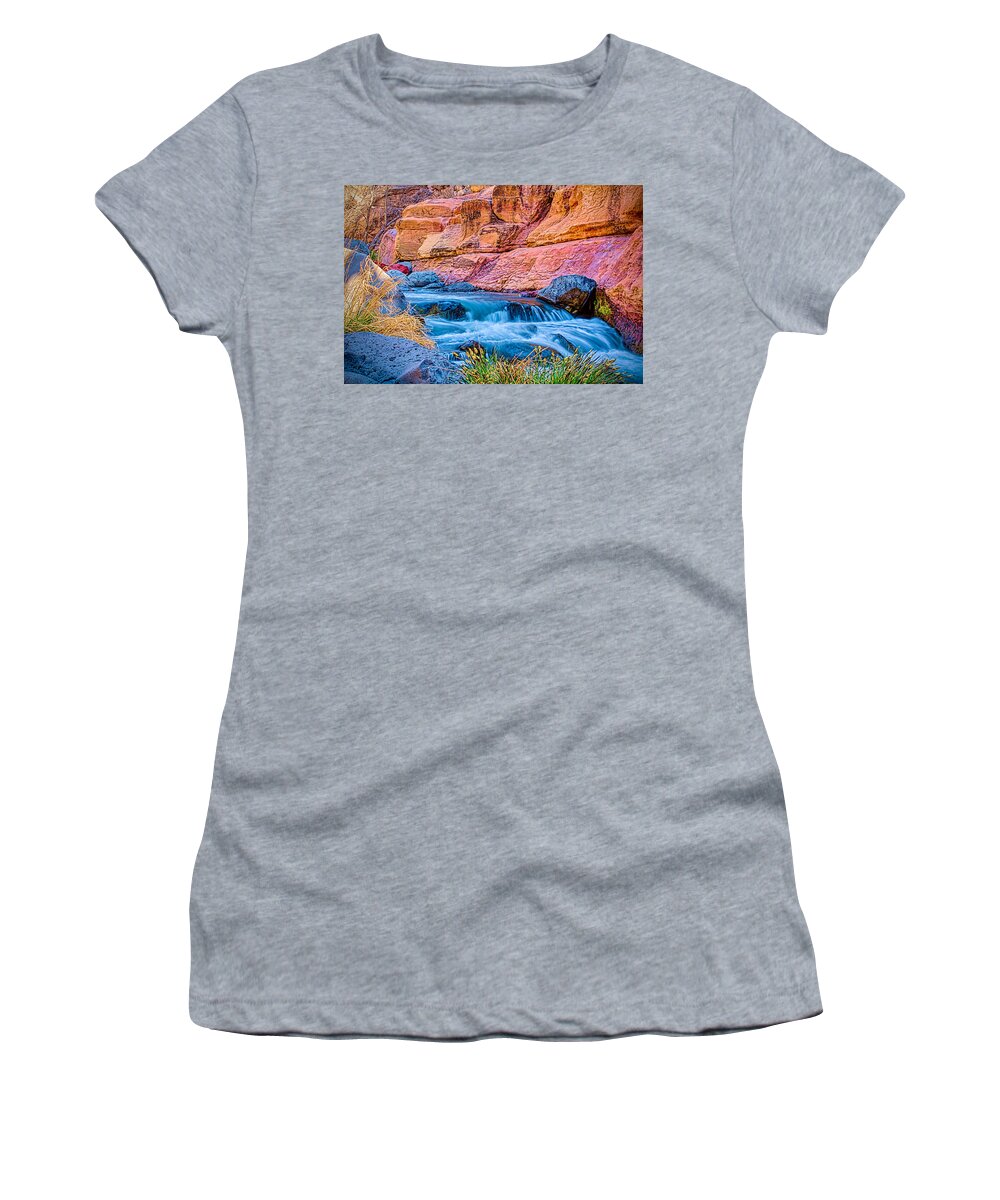 Fred Larson Women's T-Shirt featuring the photograph Oak Creek in the Spring by Fred Larson