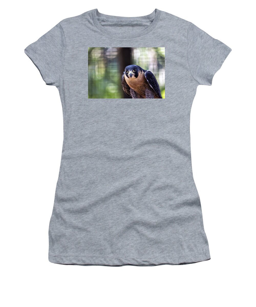 Brad Granger Women's T-Shirt featuring the photograph On The Hunt by Brad Granger