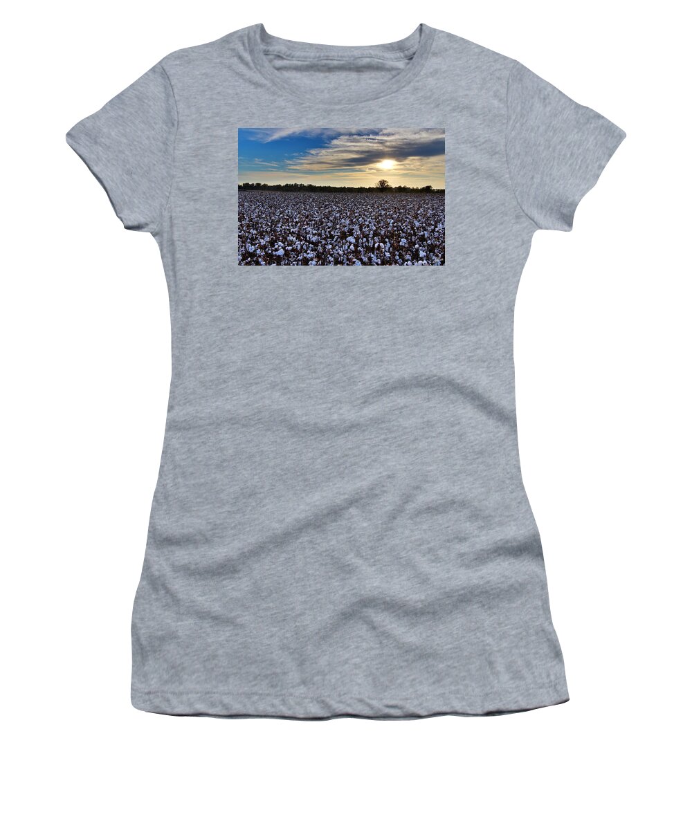 Ag Women's T-Shirt featuring the photograph Open Boll Sunset by David Zarecor