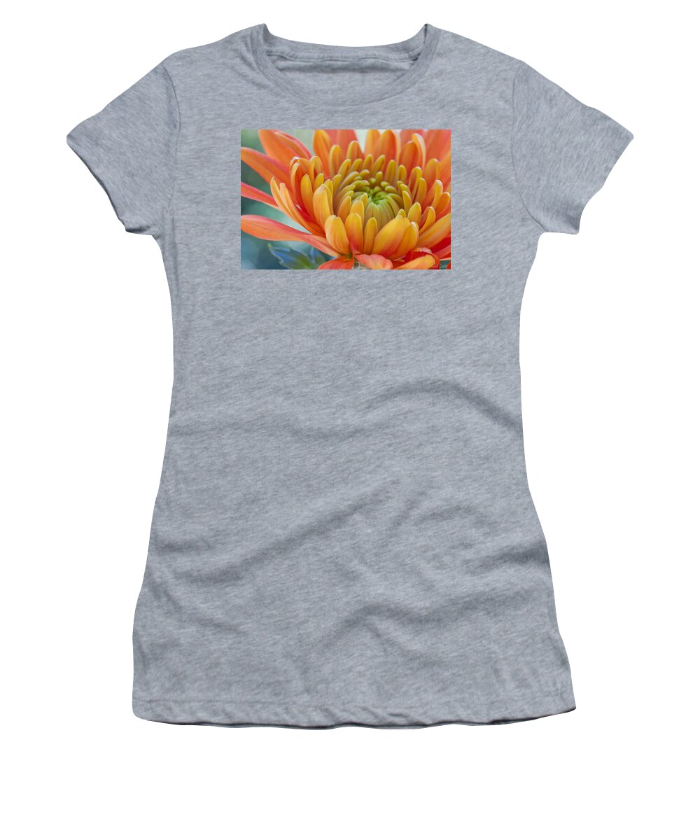 Autumn Women's T-Shirt featuring the photograph Orange Mum Closeup by Heidi Smith