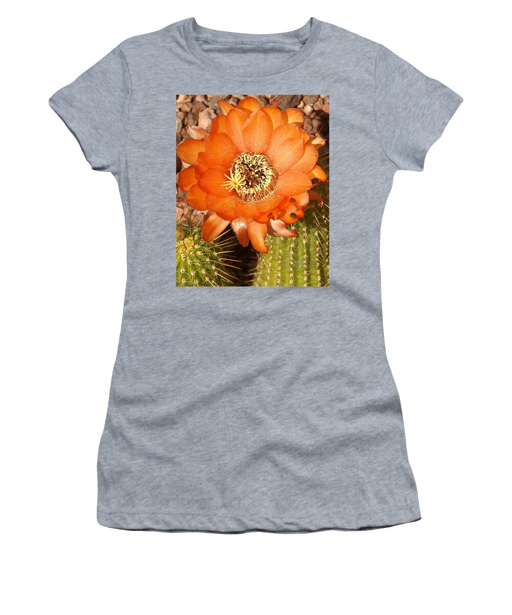 Flower Women's T-Shirt featuring the photograph Orange Spring by Kent Nancollas