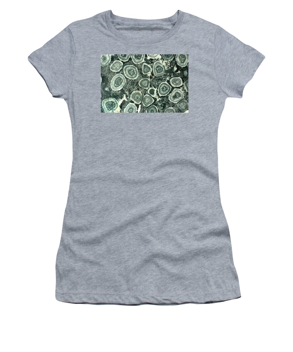 Orb Women's T-Shirt featuring the photograph Orbicular Diorite by Scott Camazine