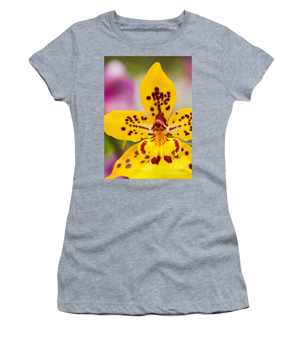 Orchid Women's T-Shirt featuring the photograph Orchid 2 of 3 by Brad Marzolf Photography