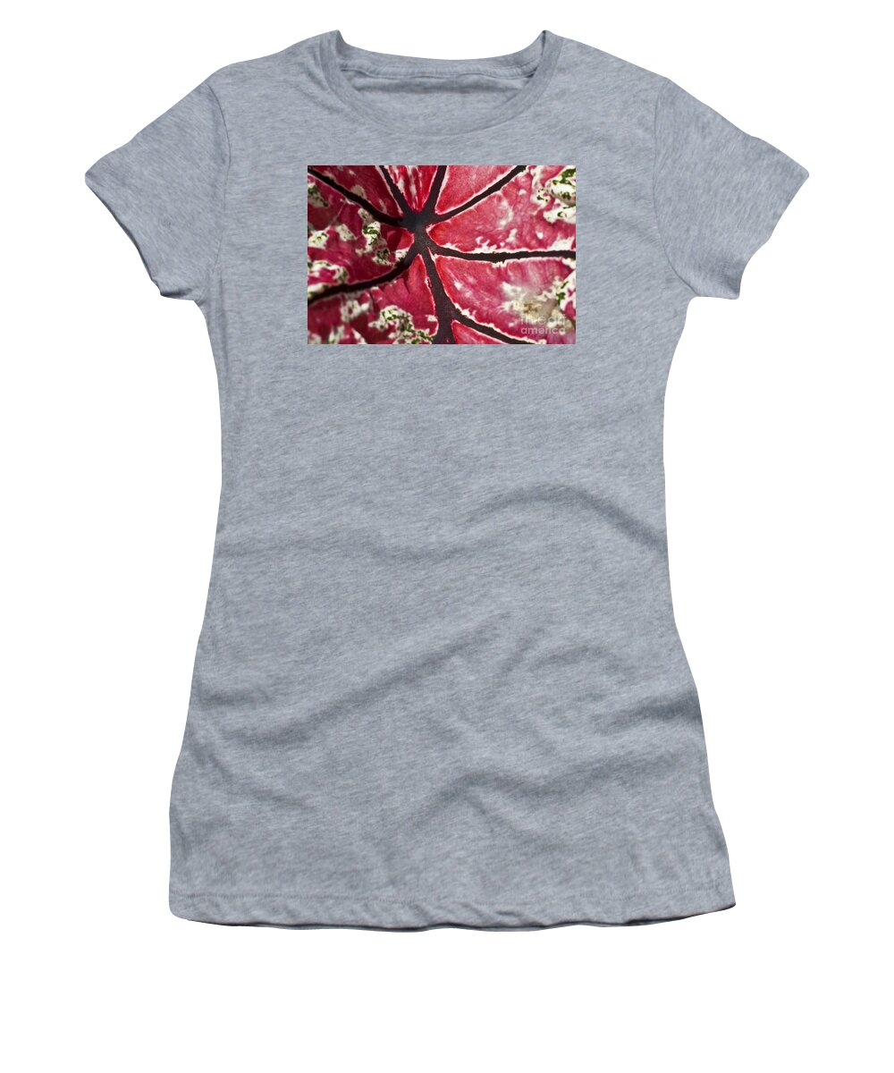 Heiko Women's T-Shirt featuring the photograph Ornamental Leaf by Heiko Koehrer-Wagner