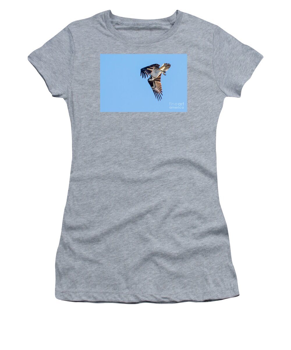 Osprey Women's T-Shirt featuring the photograph Osprey Diving by Robert Bales