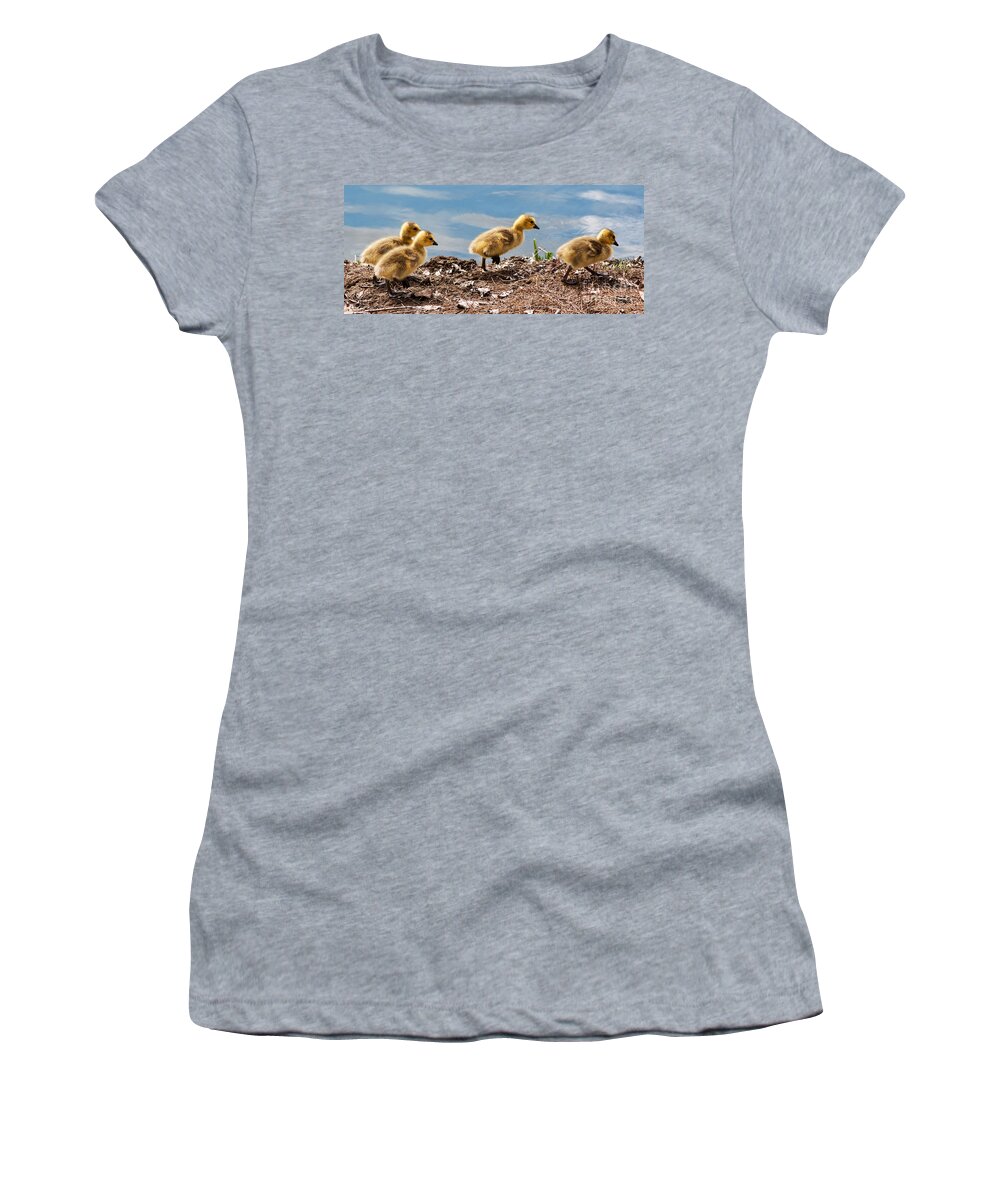 Gosling Women's T-Shirt featuring the photograph Out for a Walk Panorama by Vivian Christopher