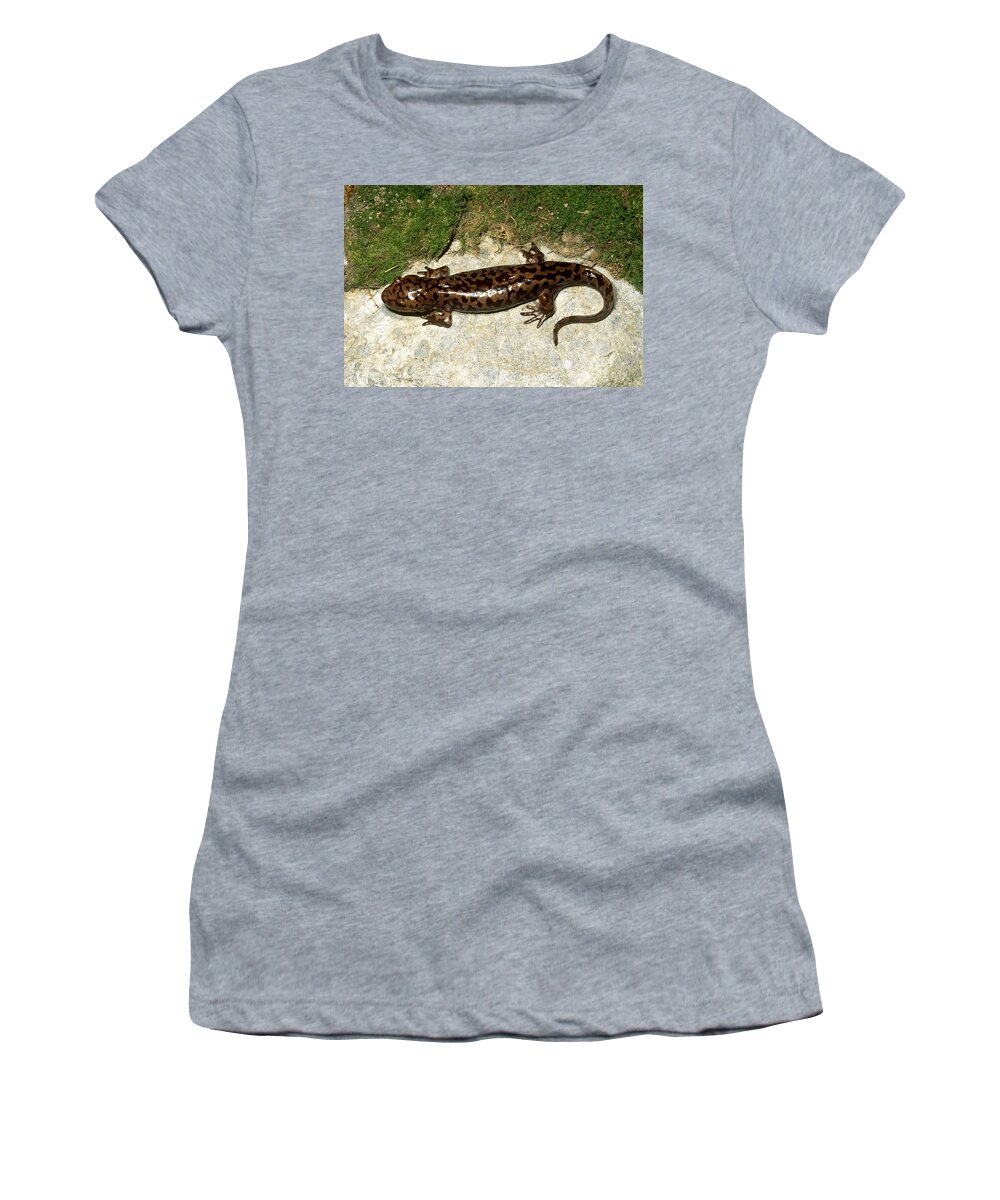 Amphibia Women's T-Shirt featuring the photograph Pacific Giant Salamander by Karl H. Switak