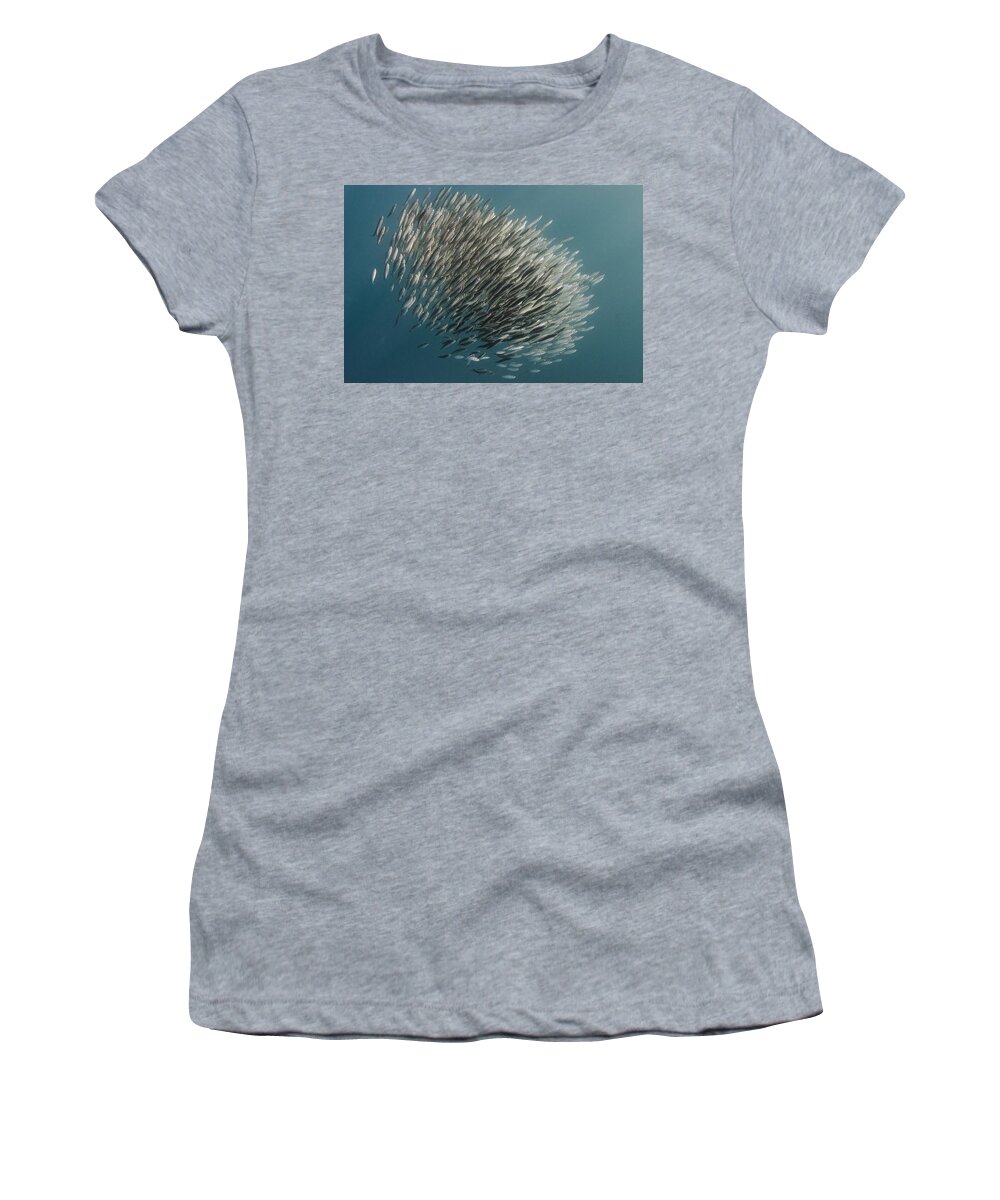 Feb0514 Women's T-Shirt featuring the photograph Pacific Sardine Baitball South Africa by Pete Oxford