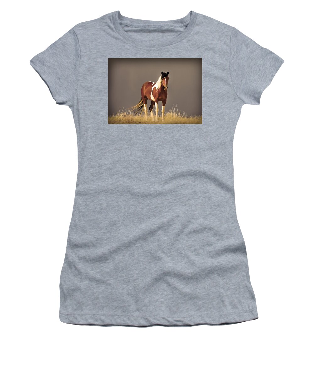 Wild Mustangs Women's T-Shirt featuring the photograph Paint Filly Wild Mustang Sepia Sky by Rich Franco