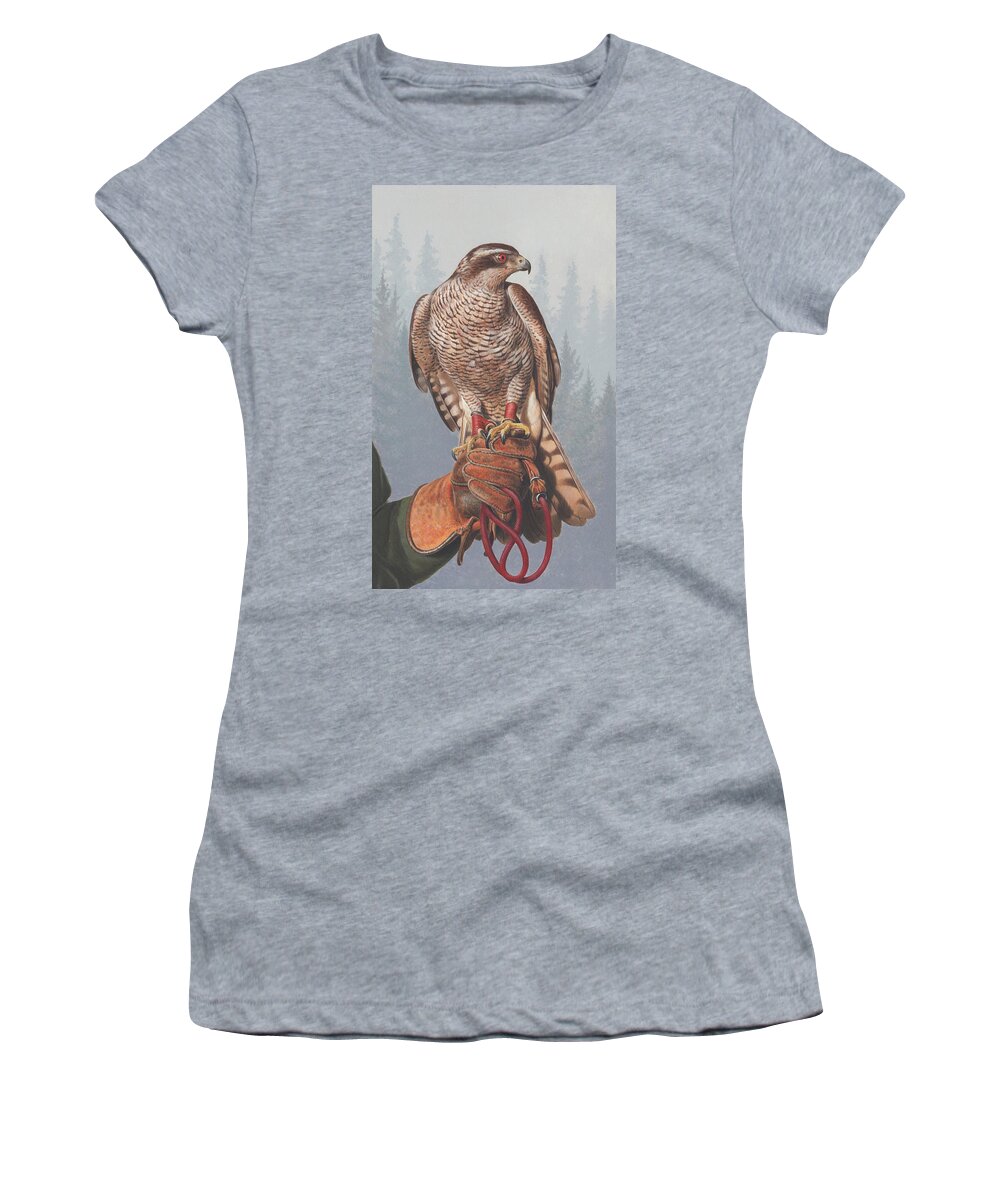 Acrylic Painting Women's T-Shirt featuring the photograph Painting Of Goshawk Perched by Ikon Images