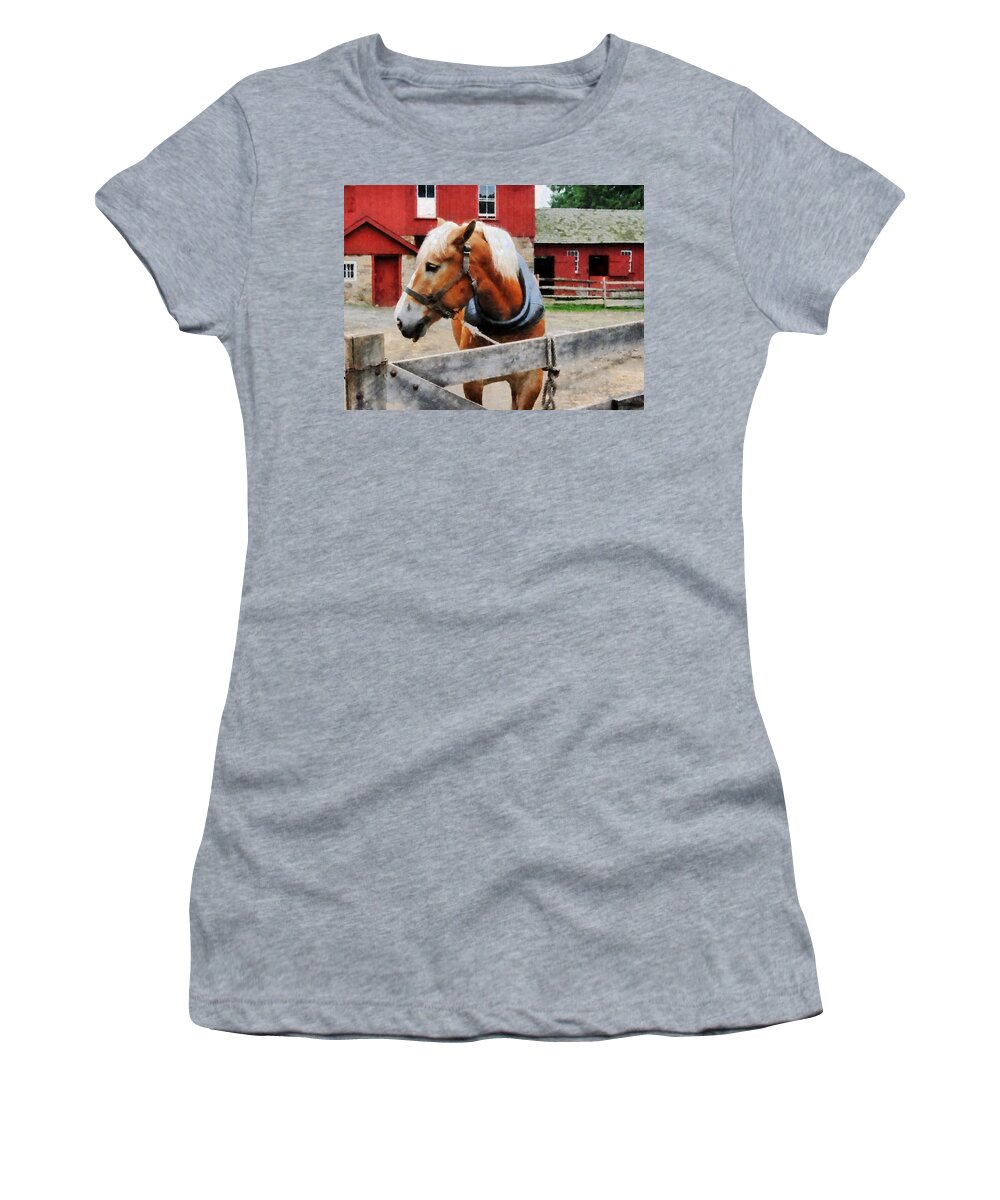 Horse Women's T-Shirt featuring the photograph Palomino By Red Barn by Susan Savad