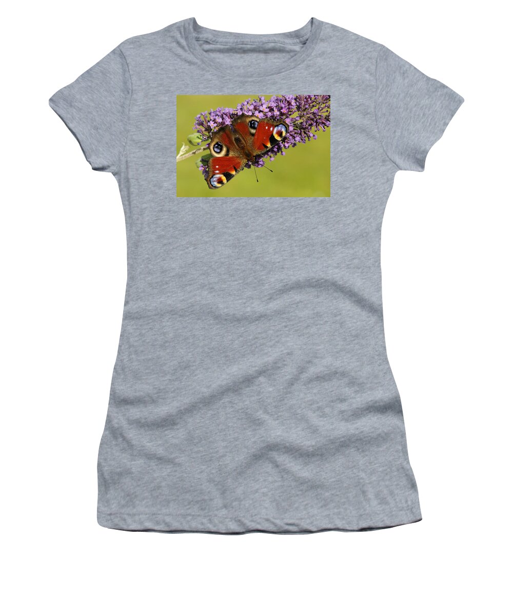 Flpa Women's T-Shirt featuring the photograph Peacock Butterfly On Buddleia by Malcolm Schuyl