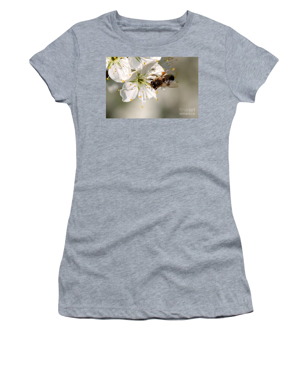 Spring Women's T-Shirt featuring the photograph Pear Blossom with bee by Amanda Mohler