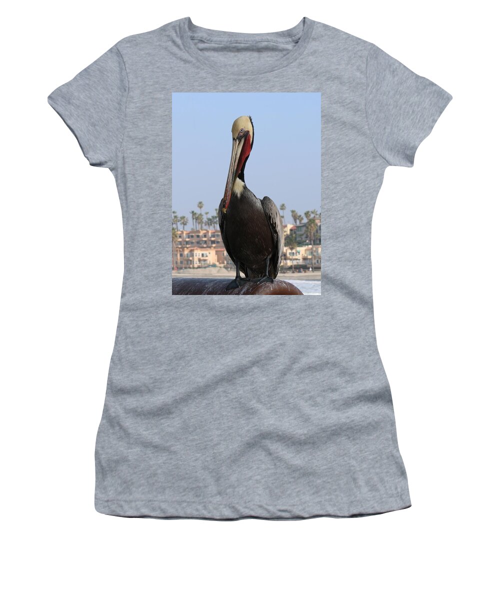 Wild Women's T-Shirt featuring the photograph Pelican - 2 by Christy Pooschke