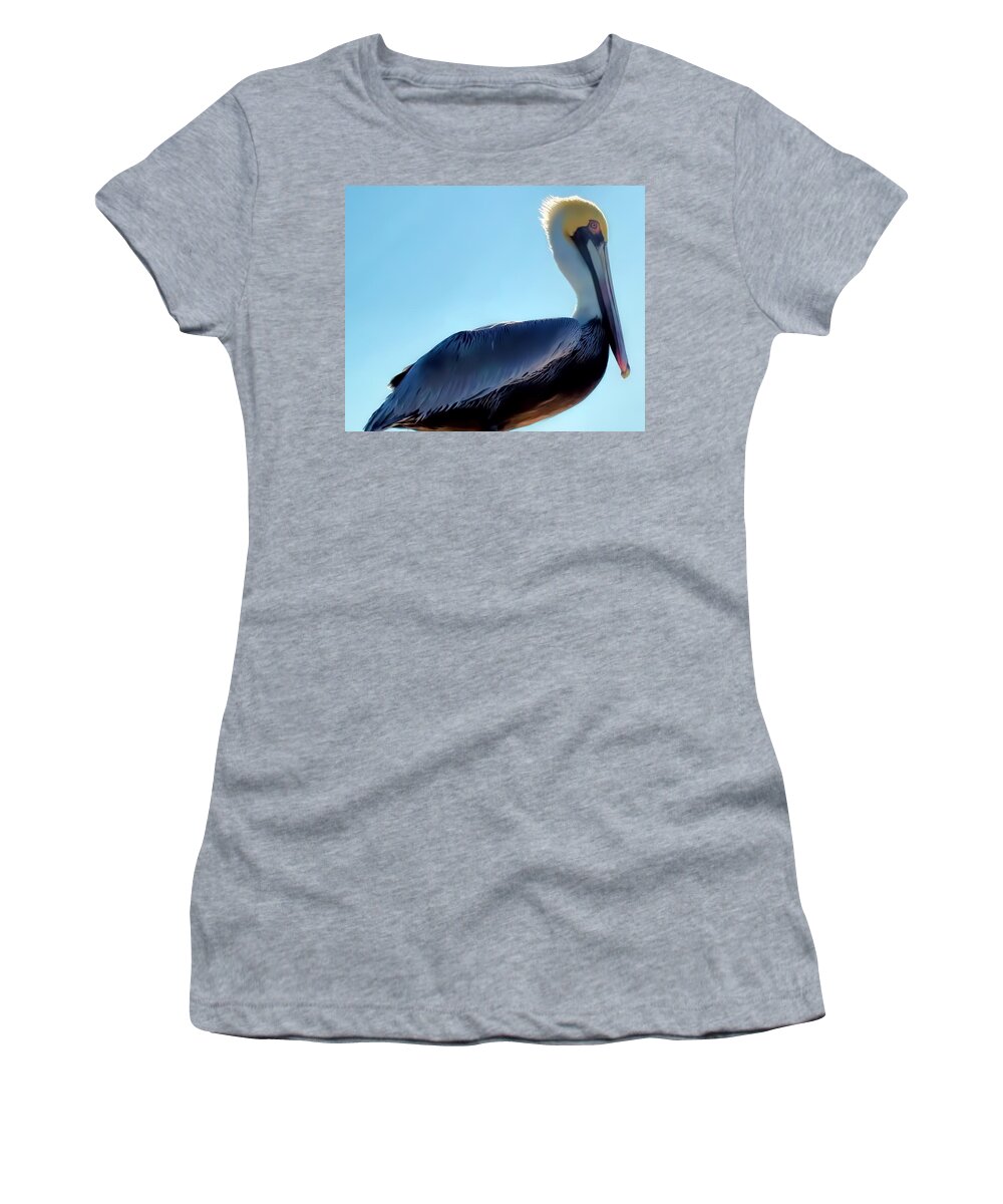 Pelican Women's T-Shirt featuring the photograph Pelican 1 by Dawn Eshelman