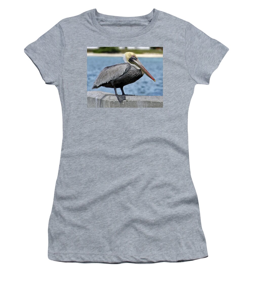 Pelican Women's T-Shirt featuring the photograph Pelican 2 by Bob Slitzan