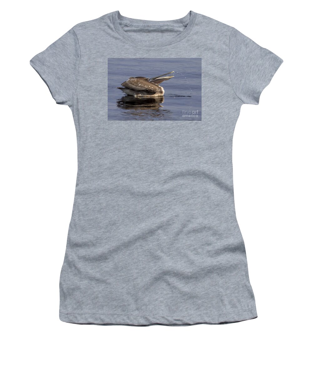Brown Pelican Women's T-Shirt featuring the photograph Pelican Fountain by Meg Rousher