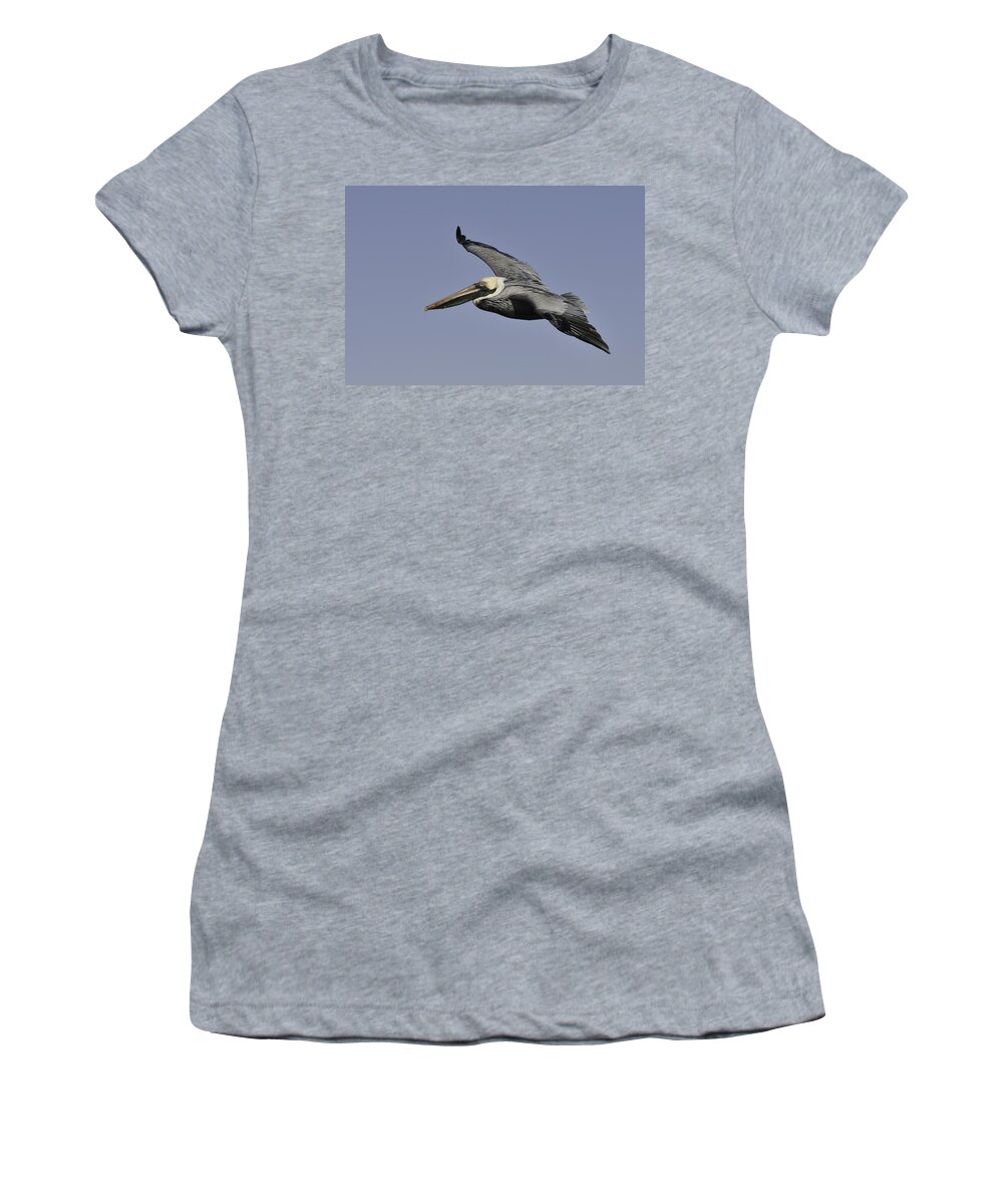 Pelican Women's T-Shirt featuring the photograph Pelican in Flight by Bradford Martin