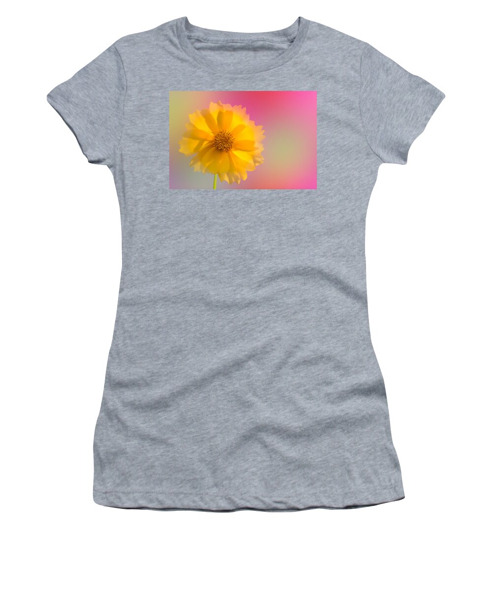 Fred Larson Women's T-Shirt featuring the photograph Petals of Sunshine by Fred Larson