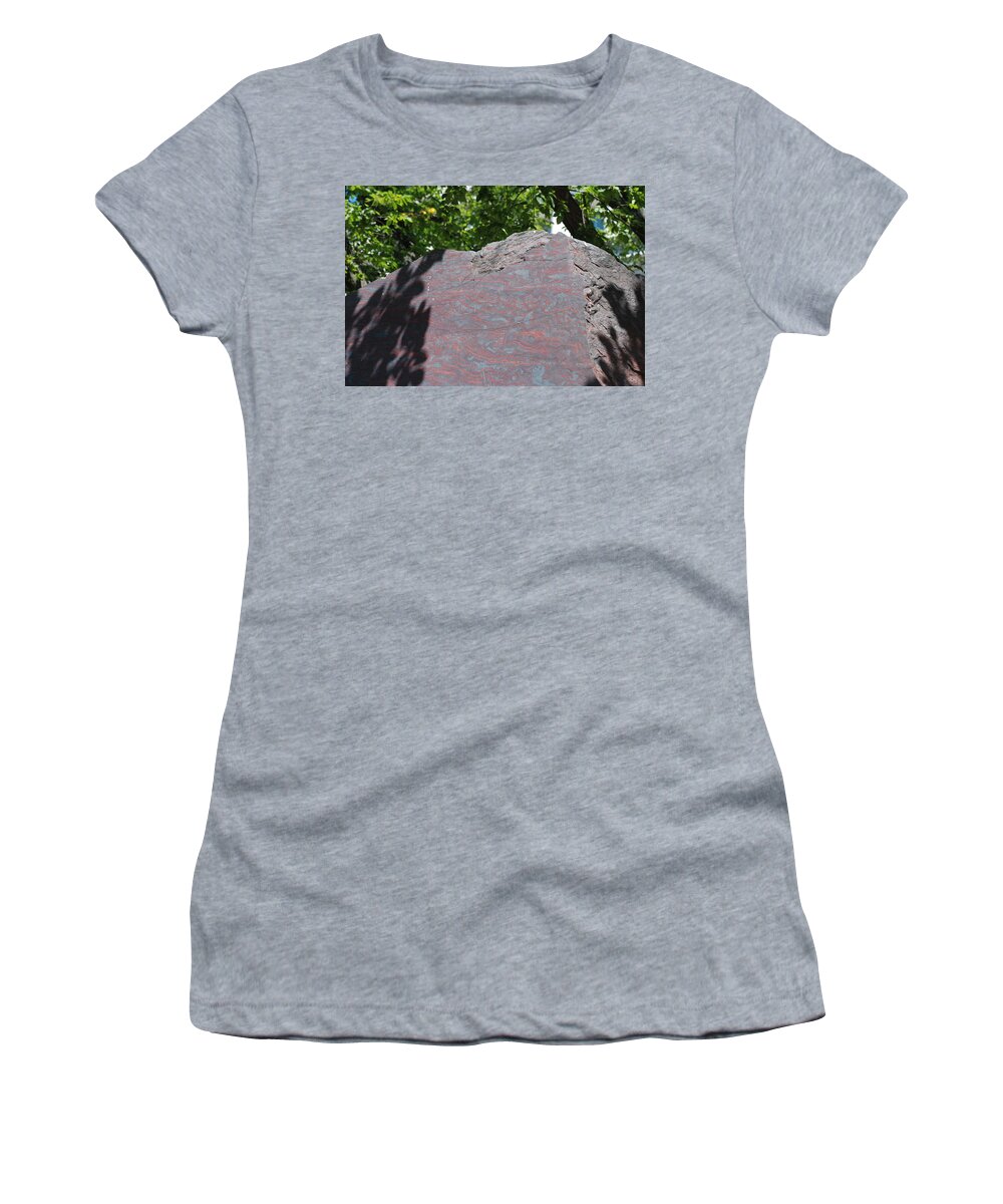 Petrified Wood Women's T-Shirt featuring the photograph Petrified Wood on Display by Kenny Glover