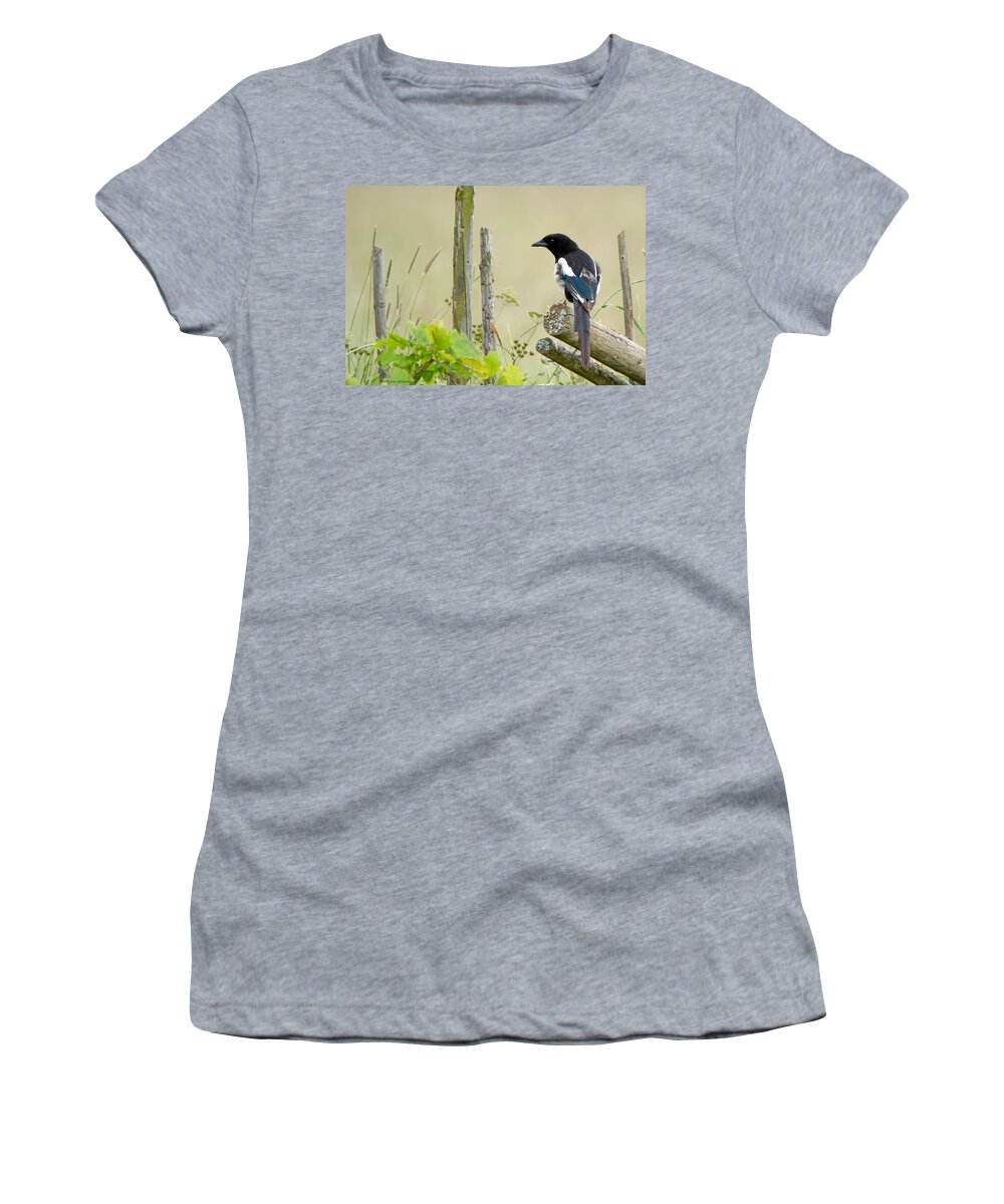 Pica Pica Women's T-Shirt featuring the photograph Pica pica by Torbjorn Swenelius