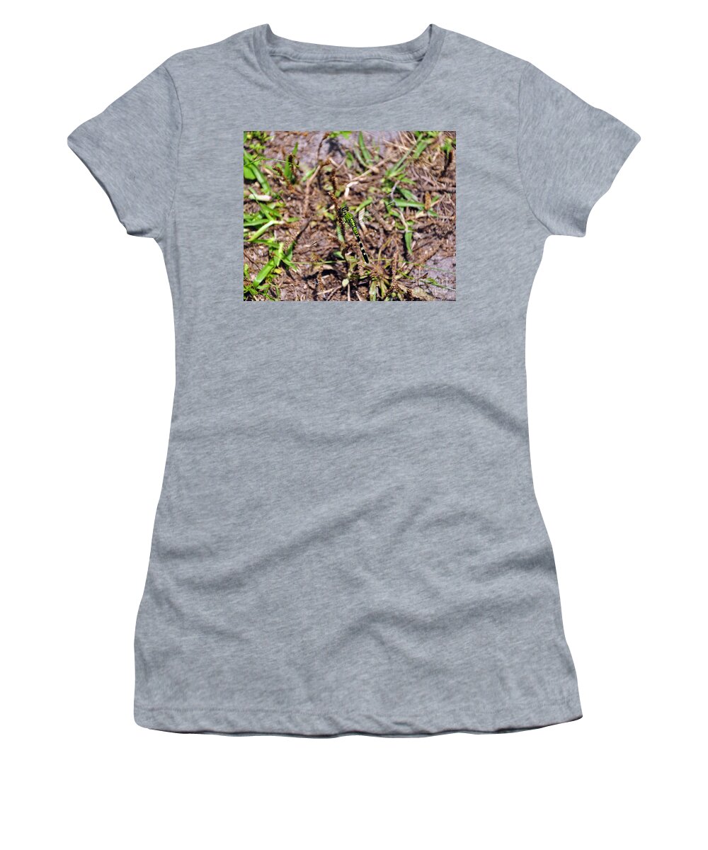 Dragonfly Women's T-Shirt featuring the photograph Picturesque Pondhawk by Al Powell Photography USA