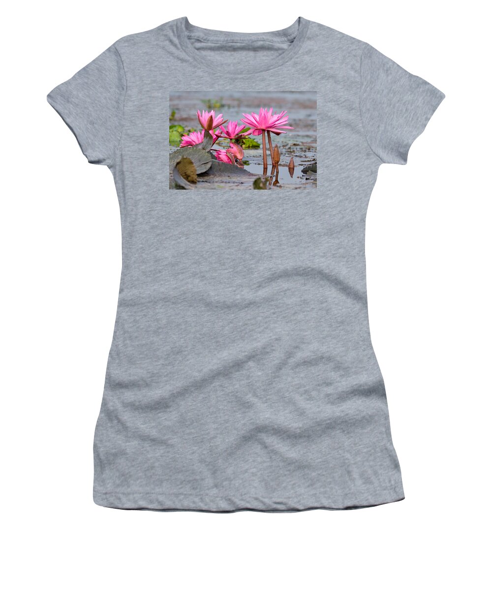 Pink Women's T-Shirt featuring the photograph Pink Lotuses by Fotosas Photography