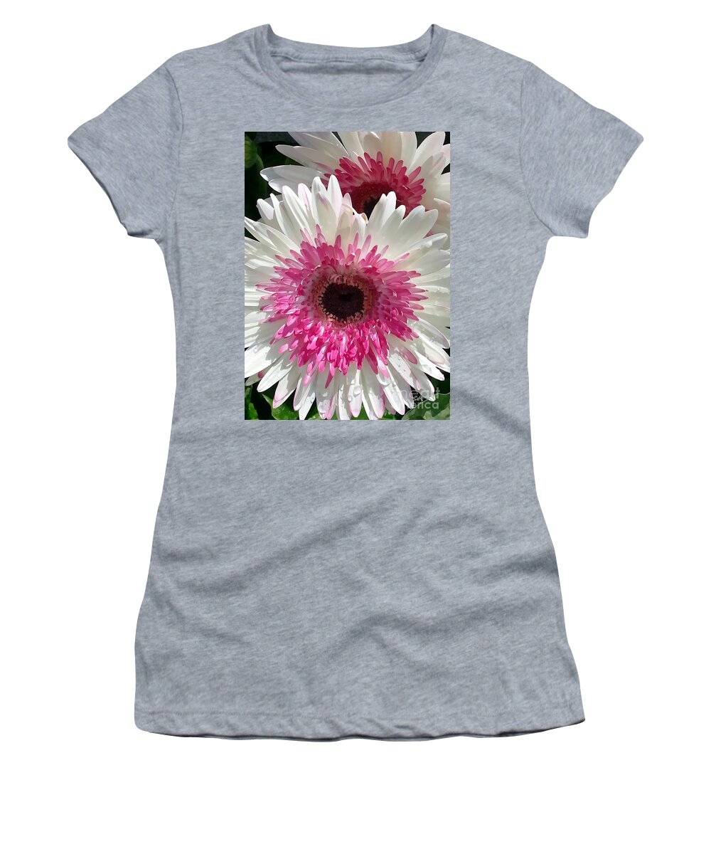 Portrait Women's T-Shirt featuring the photograph Pink n white gerber daisy by Sami Martin