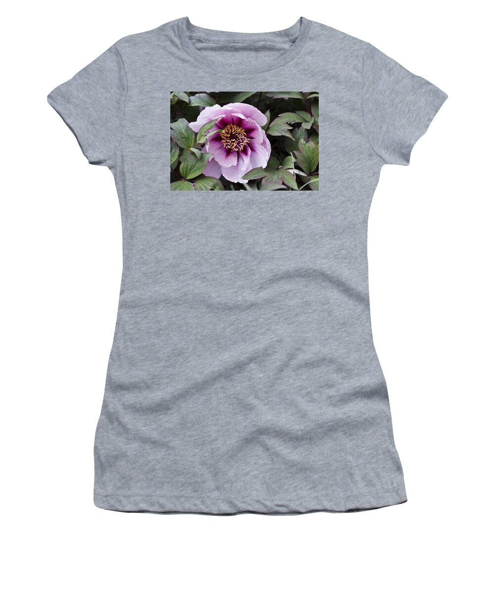 Floral Women's T-Shirt featuring the photograph Pink Peony After The Rain by Priya Ghose
