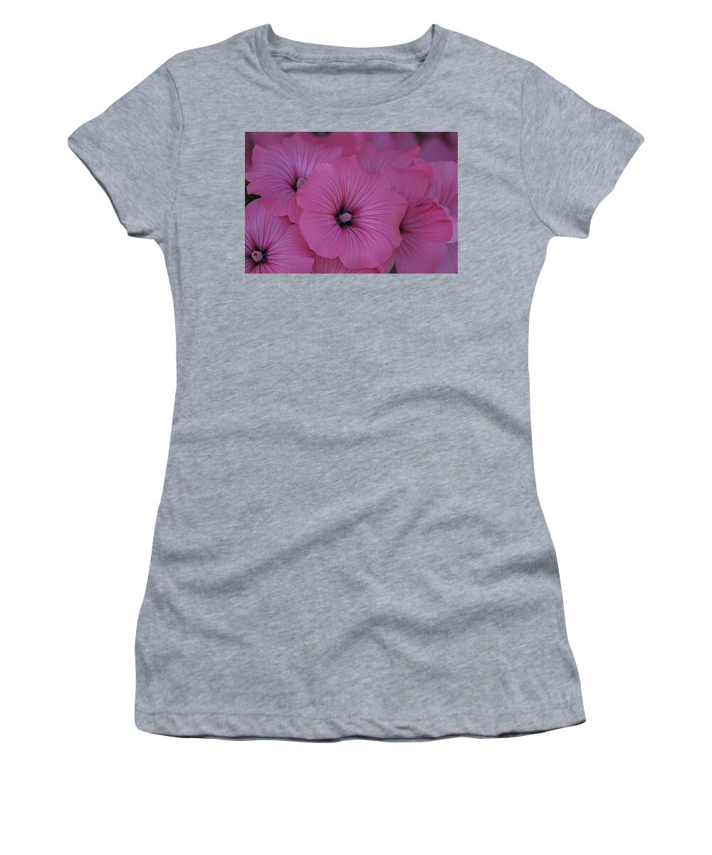 Summer Women's T-Shirt featuring the photograph Pink Petunia by Alicia Kent