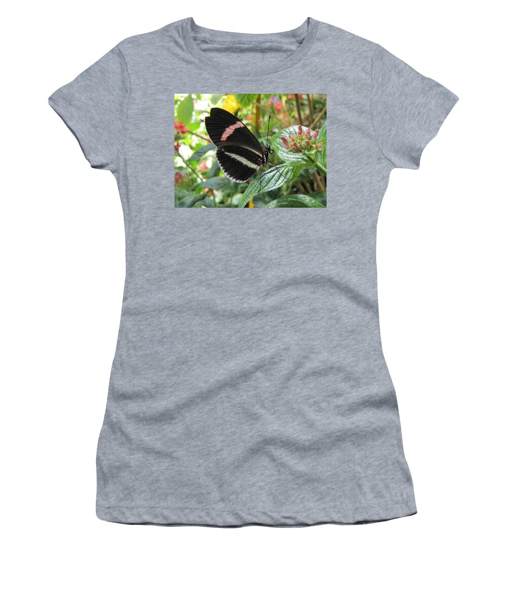 Wings Women's T-Shirt featuring the photograph Pink Stripe by Jennifer Wheatley Wolf