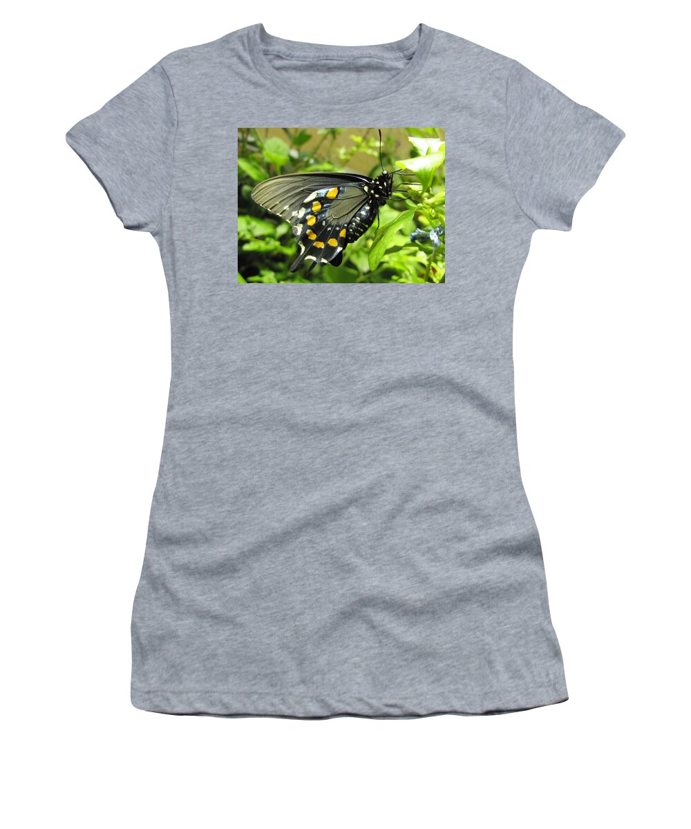Butterfly Women's T-Shirt featuring the photograph Pipevine Swallowtail by Jennifer Wheatley Wolf
