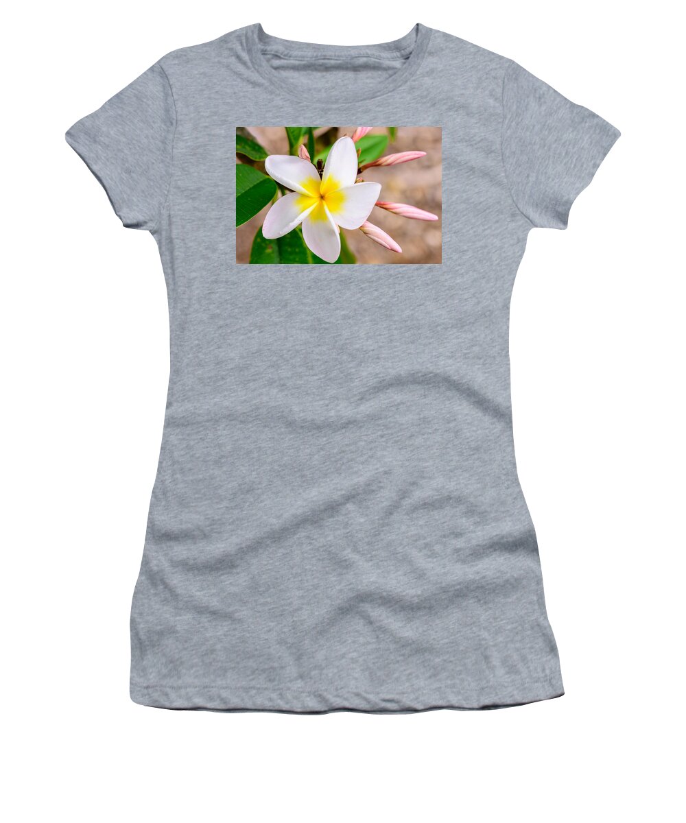 Flowers Women's T-Shirt featuring the photograph Plumerias of Paradise 15 by Jason Chu