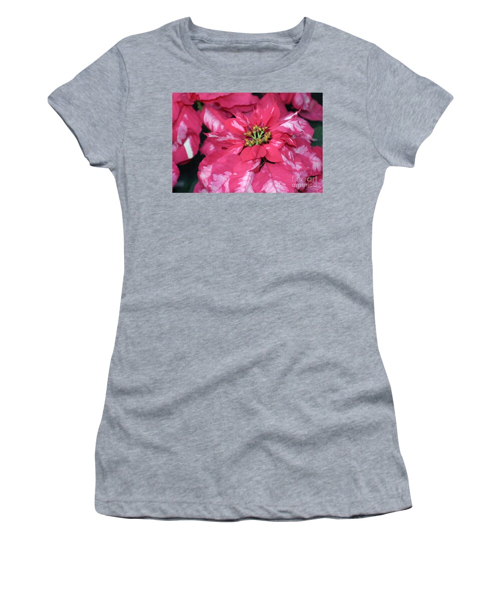 Poinsettia Women's T-Shirt featuring the photograph Poinsettia Passion by Living Color Photography Lorraine Lynch