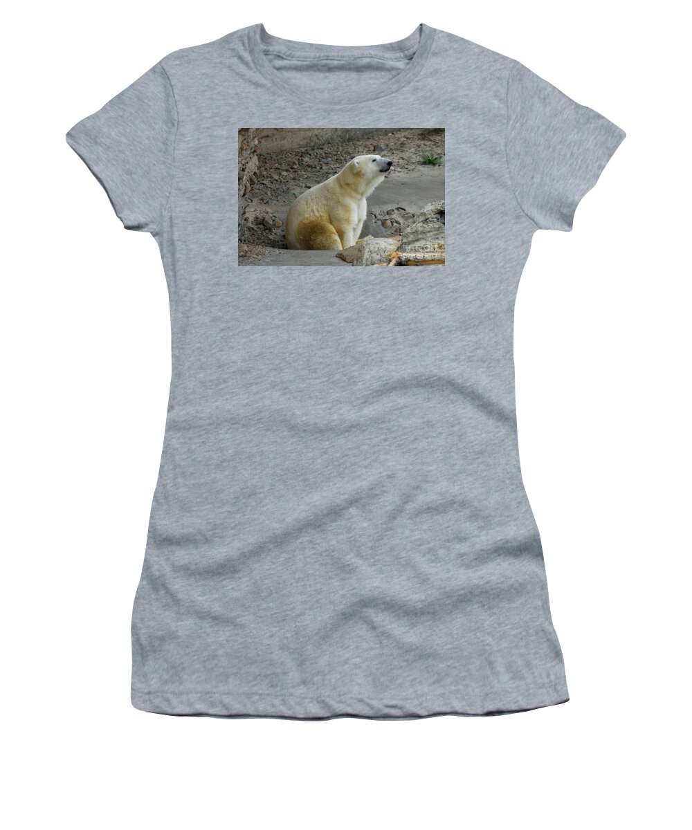 Polar Bear Women's T-Shirt featuring the photograph Polarized by Anthony Wilkening