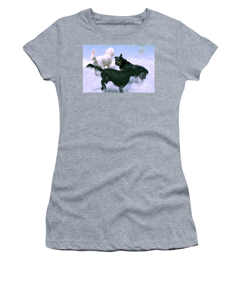 Poodle Women's T-Shirt featuring the photograph Pooch Play by Cassandra Buckley