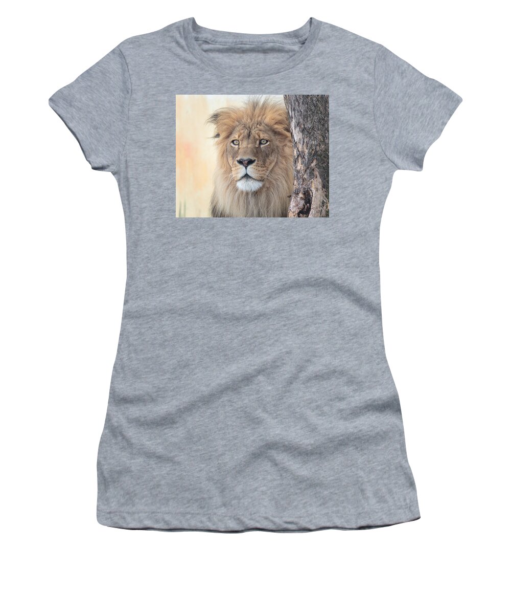 Lion Women's T-Shirt featuring the photograph Portrait of a Lion by Everet Regal