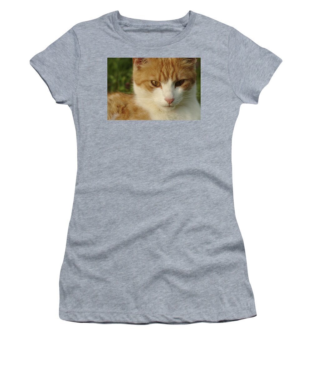 Amber Women's T-Shirt featuring the photograph Portrait of a stern looking cat by Ulrich Kunst And Bettina Scheidulin