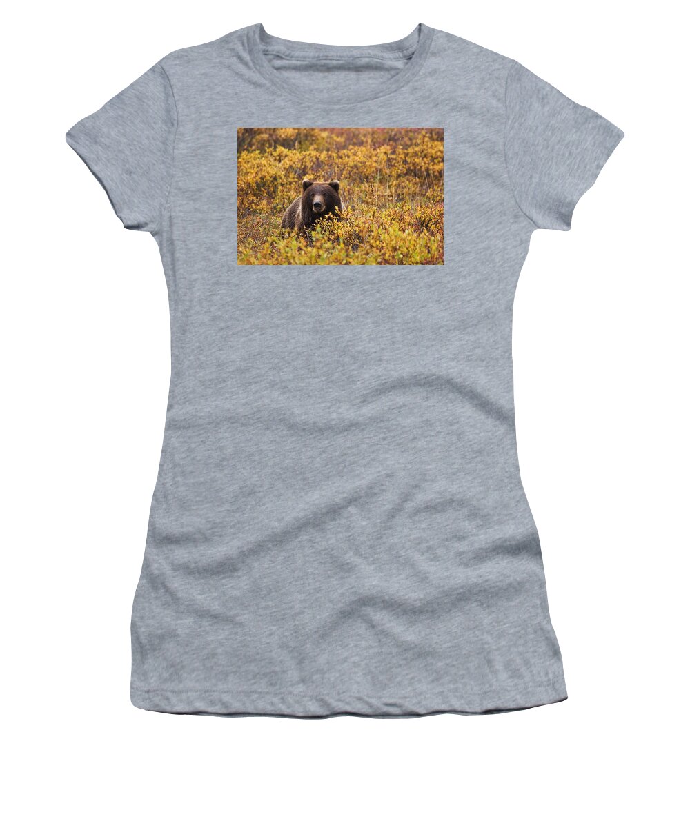 Wegener Women's T-Shirt featuring the photograph Portrait Of An Adult Brown Bear Amongst by Lynn Wegener